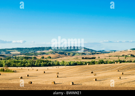 Landschaft in der Nähe von San Qurico d ' Orcia, Siena, Toskana, Italien Stockfoto