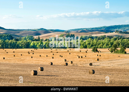 Landschaft in der Nähe von San Qurico d ' Orcia, Siena, Toskana, Italien Stockfoto