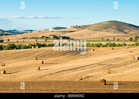 Landschaft in der Nähe von San Qurico d ' Orcia, Siena, Toskana, Italien Stockfoto