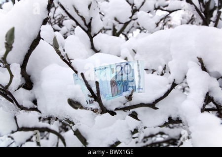 €20-Euro-Schein auf dem Schnee bedeckt Magnolie. Stockfoto