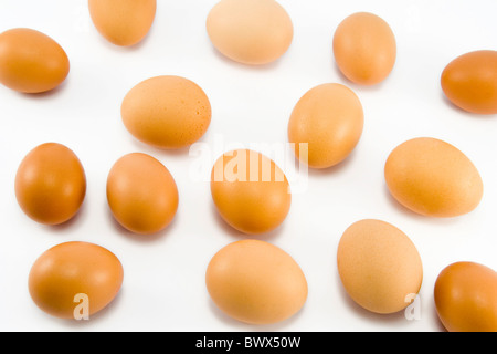 die natürlichen braunen Eiern auf weißem Hintergrund Stockfoto