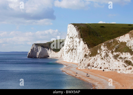 Blick von Durdle Door Dorset Küste westlich auf die Strände und die Kreidefelsen von Swyre Head und Fledermäuse Head. DAVID MANSELL Stockfoto