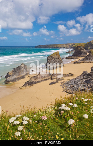 Bedruthan Steps und Strand bei Ebbe North Cornwall England GB Europa Stockfoto