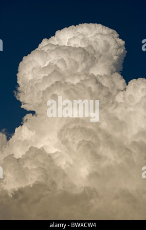 Cumulonimbus Wolken Arizona Stockfoto