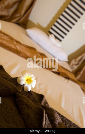 Massage-Bett in der Silom Road Bangkok. Stockfoto