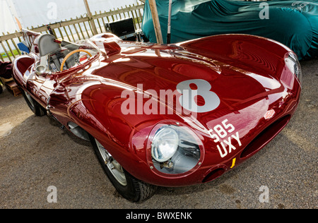 1956 Jaguar D-Type im Fahrerlager am Goodwood Revival treffen 2010, Sussex, England, UK. Stockfoto