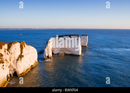 Old Harry Rocks, Studland, Dorset, Großbritannien Stockfoto