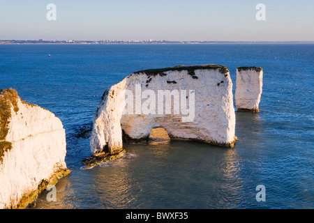 Old Harry Rocks, Studland, Dorset, Großbritannien Stockfoto