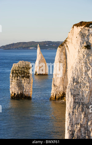 Die Pinnacles, Studland, Dorset, Großbritannien Stockfoto