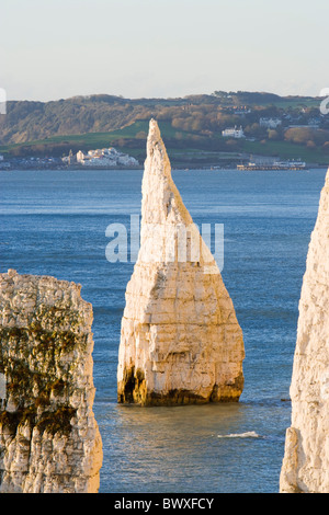 Die Pinnacles, Studland, Dorset, Großbritannien Stockfoto