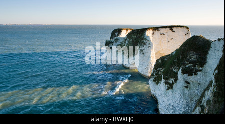 Old Harry Rocks, Studland, Dorset, Großbritannien Stockfoto