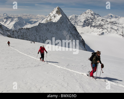 Skitourengeher klettern die oberen Hängen des Mont Blanc de Cheilon auf der Haute Route, Schweiz Stockfoto