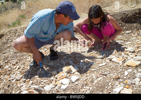 Vater und Tochter auf der Suche nach Fossilien in einem fossilen Feld hinter Wheeler High School am Fossil, Oregon, USA. Stockfoto