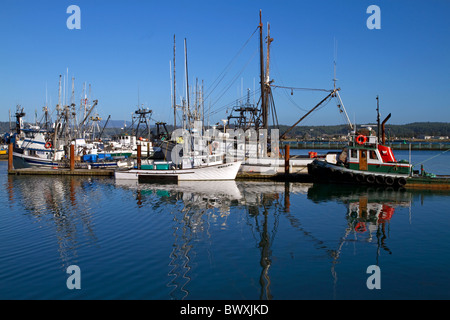 Angelboote/Fischerboote im Hafen von Yaquina Bay, Newport, Oregon, USA. Stockfoto