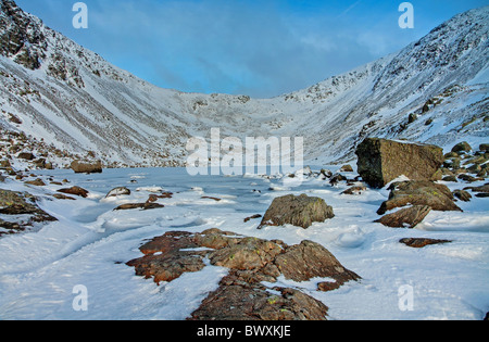 Ziegen im Winter Wasser Stockfoto