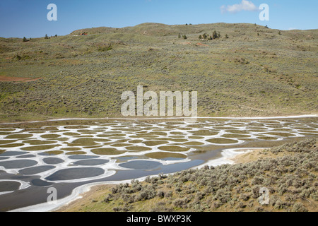 Gefleckte See, Osoyoos, Britisch-Kolumbien, Kanada Stockfoto