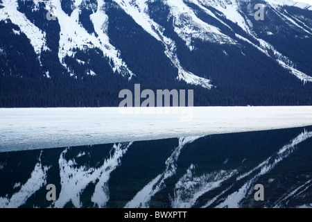 Selwyn Spektrum spiegelt sich in teilweise gefrorenen Moose Lake, Mount Robson Provincial Park in British Columbia, Kanada Stockfoto