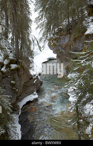 Johnston Creek im Winter Johnston Canyon, Banff Nationalpark, Kanadische Rockies, Alberta, Kanada Stockfoto