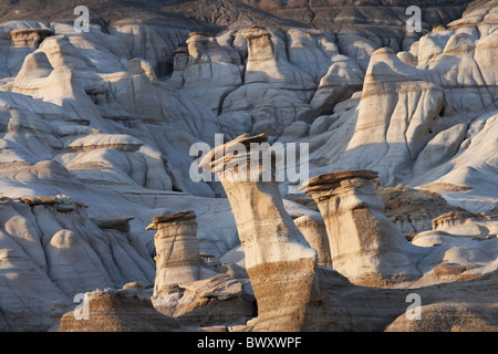 Hoodoos in der Nähe von Drumheller, Alberta, Kanada Stockfoto