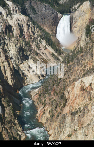 Grand Canyon des Yellowstone und niedriger fällt vom Künstler Punkt im Yellowstone National Park. Stockfoto