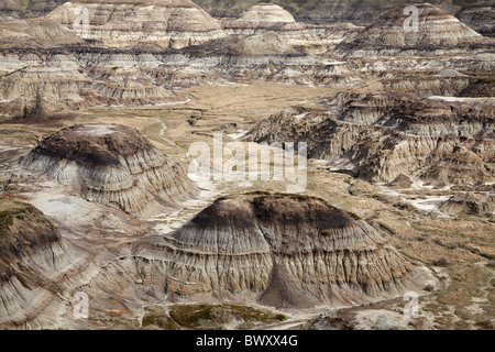 Horseshoe Canyon in der Nähe von Drumheller, Alberta, Kanada Stockfoto