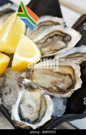 Frische Austern mit Zitrone serviert im Restaurant Oyster Catcher in Knysna an der Garden Route in Südafrika. Stockfoto