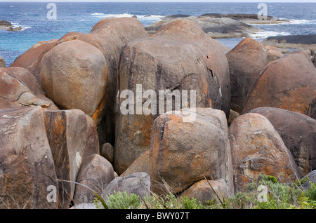 Elefant-Felsen in der Nähe von Dänemark im Williams Bay National Park in Westaustralien an der Küste des südlichen Ozeans Stockfoto