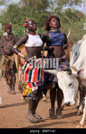 Schwester von initiieren tanzen bei einem Hamer Stier-springen Zeremonie, Omo-Tal, Äthiopien Stockfoto