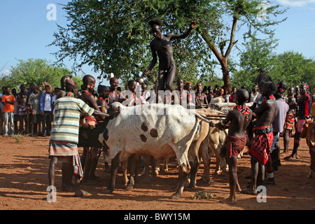 Hamer Tribesman Stier-springen Zeremonie, Omo-Tal, Äthiopien Stockfoto