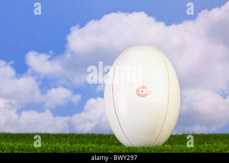 Foto von einem Rugby-Ball t-shirt up auf dem Rasen mit Himmelshintergrund. Stockfoto