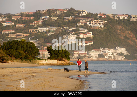 Paare, die ihren Hund entlang dem Strand Leisure Isle in Knysna an der Garden Route in Südafrika. Stockfoto