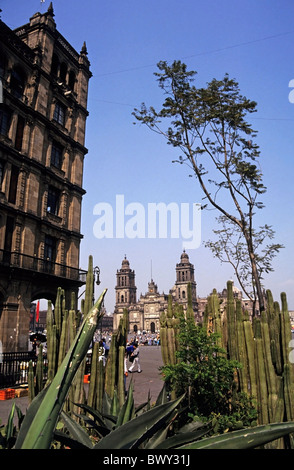 Menschen, die Überquerung des Zócalo (Plaza De La Constitución) mit der Kathedrale von Mexiko-Stadt im Hintergrund, Mexiko. Stockfoto