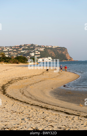 Paare, die ihre Hunde entlang dem Strand Leisure Isle in Knysna an der Garden Route in Südafrika. Stockfoto