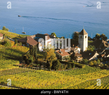 Kanton Bern Seeland Herbst Schweiz Europa See Meer Twann Übersicht Bielersee See Meer Weinberg Stockfoto