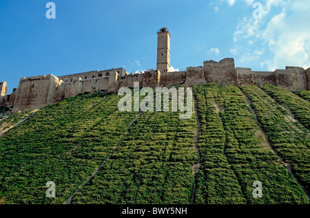 Aleppo, Syrien - Zitadelle Stockfoto