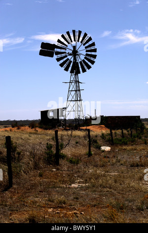 Australischen Southern Cross Wasser Windmühle Stockfoto