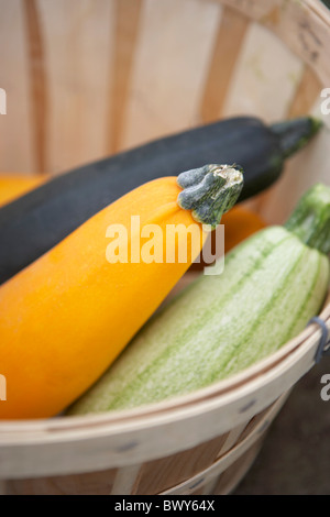 Nahaufnahme von Zucchini Stockfoto