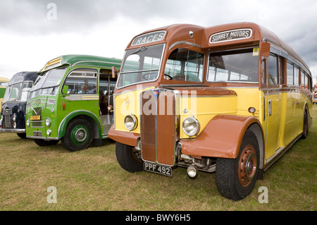 1951 AEC Regal Lll halbe Kabine Omnibus, PPF 492, bei der 2010 beim Goodwood Revival, Sussex, England, UK. Stockfoto