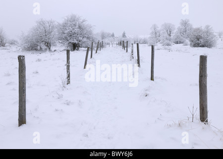 Pfad im Schnee bedeckt Landschaft, Mathesberg, Rhön Berge, Hessen, Deutschland Stockfoto