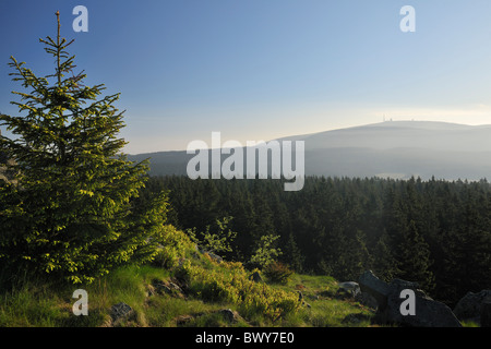 Brocken Bergblick vom Achtermann Gipfel, Nationalpark Harz, Niedersachsen, Deutschland Stockfoto