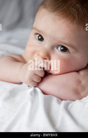 Porträt von Baby Boy Stockfoto