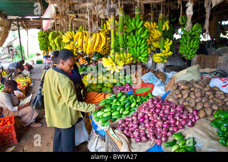 Neuen Stadtpark Ngara Hausierer Markt, Nairobi, Kenia Stockfoto