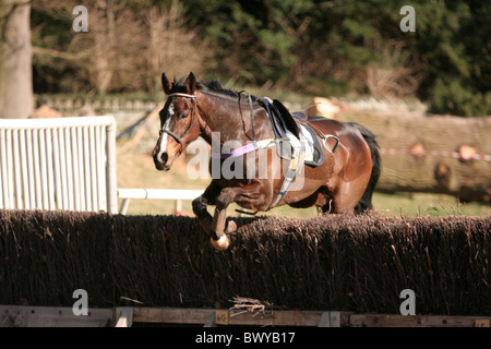 Walisischen Grenzen Punkt-zu-Punkt-2009 Stockfoto