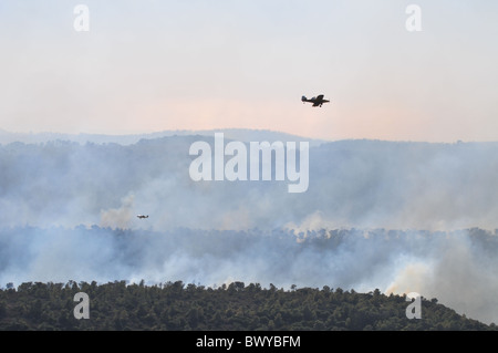 Flugzeug-Tropfen auf dem Wildfire, Israel, Haifa Carmel Berg feuerhemmend Stockfoto