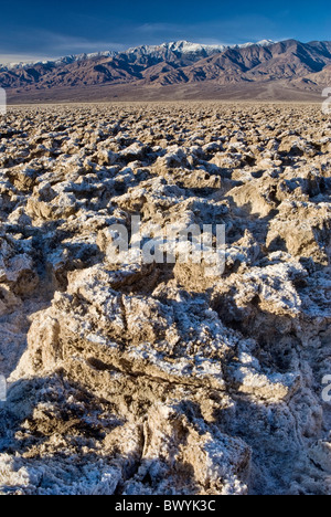 Halit Salz Kristallformationen am Golfplatz des Teufels, Panamint Range mit Telescope Peak in Dist, Death Valley, Kalifornien, USA Stockfoto