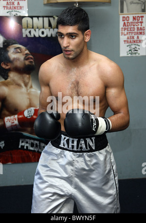 AMIR KHAN BOXER HOLLYWOOD LOS ANGELES Kalifornien USA 30. November 2010 Stockfoto