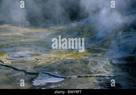 Hot Springs Neuseeland Nord Insel Orakei Korako Geyserland in der Nähe von Taupo Dampf Schwefel Schwefel Hidden Valley Stockfoto