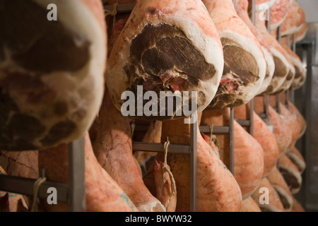 Schinken-Fabrik, San Daniele, Friaul, Italien Stockfoto