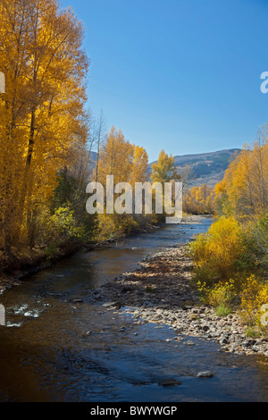 Granby, Colorado - Espen entlang dem Fraser River im Herbst. Stockfoto