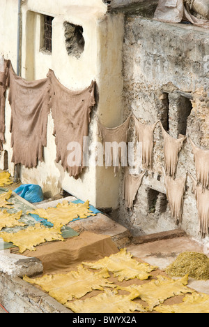 Chouwara Gerberei in Fez, Marokko Stockfoto